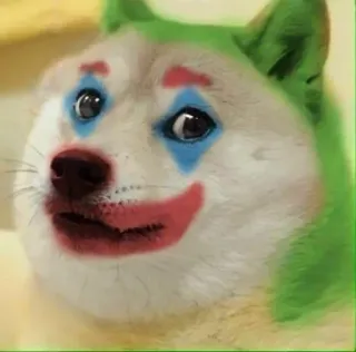 🤡 doge, hond, clown, meme, grappig, joker telegram sticker