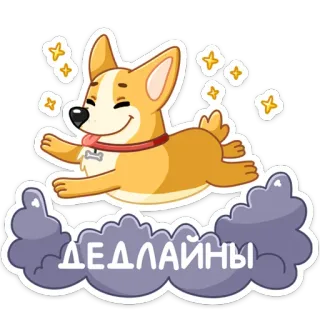 ☺️ ДЕДЛАЙНЫ chien, corgi, deadline, travail, nuages, étoiles, animal, mignon whatsapp sticker