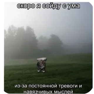 😶 скоро я сойду с ума
из-за постоянной тревоги и навязчивых мыслей cat, anxiety, mental health, meme, funny, russian whatsapp sticker