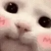 😸