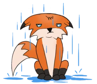 ☔ renard, pluie, triste, dessin animé, animal, mignon, autocollant whatsapp sticker