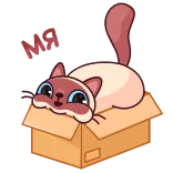 Веня @TgEmojis telegram emojis 👀