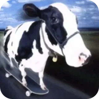 🐶 cow, skateboard, animal, funny, meme, skating, agriculture telegram sticker
