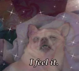 🍀 I feel it. whatsapp sticker