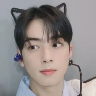 😊 orecchie da gatto, maschio, asiatico, orecchini, bello telegram sticker