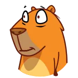 😬 Desenho animado, Animal, Mamífero, Adesivo, Expressão, Engraçado, Fofo telegram sticker