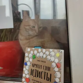 😾 КРУГОМ ОДНИ ИДИОТЫ book, idiots, sheep, humor telegram sticker
