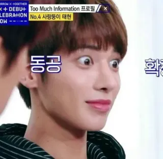 🪄 Too Much Information 프로필 kpop, korean, meme, boy band, funny, reaction whatsapp sticker