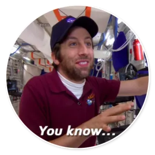 😏 Howard Wolowitz The Big Bang Theory You know... serie tv, sitcom, comedia, científico, astronauta whatsapp sticker