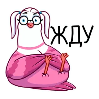 🐦 ЖДУ duif, vogel, wachten, cartoon, bril, animatie whatsapp sticker