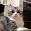 🧐