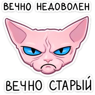 👨‍🦳 ВЕЧНО НЕДОВОЛЕН
ВЕЧНО СТАРЫЙ cat, sphynx, angry, discontent, old, meme, sticker telegram sticker