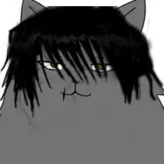 🎴 gato, emo, peinado, mascota, animal, dibujo animado telegram sticker