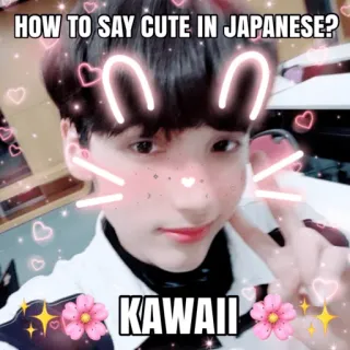 🌸 HOW TO SAY CUTE IN JAPANESE?
KAWAII kawaii, cute, japanese, bunny, hearts, filter, pink telegram sticker