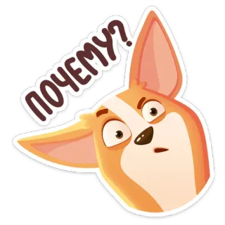 ❓ ПОЧЕМУ? cachorro, corgi, pergunta, por que, confuso, desenho, animal whatsapp sticker