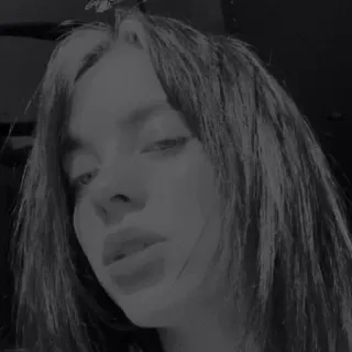 😼 Billie Eilish Billie Eilish, นักร้อง, นักดนตรี, ภาพเหมือน, ขาวดำ telegram sticker