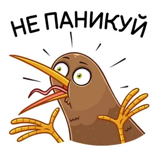 🙅‍♂️ НЕ ПАНИКУЙ kiwi, burung, panik, lucu, stiker, kartun, binatang telegram sticker