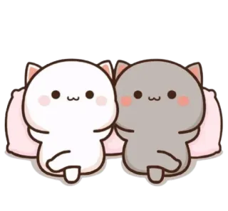 🙂 cat, cute, pillow, animals whatsapp sticker
