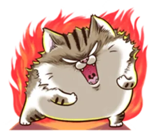 😤 Katze, wütend, Cartoon, Tier, Katzenartig, niedlich, Illustration whatsapp sticker