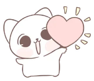 💓 gato, coração, fofo, adesivo, amor, kawaii whatsapp sticker