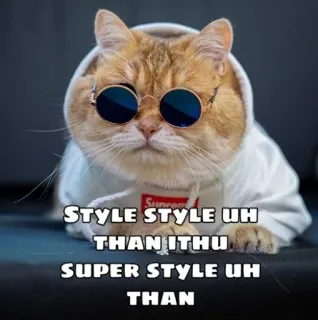 😎 STYLE STYLE UH
THAN ITHU
SUPER STYLE UH
THAN gato, óculos, estilo, meme, engraçado, animal telegram sticker