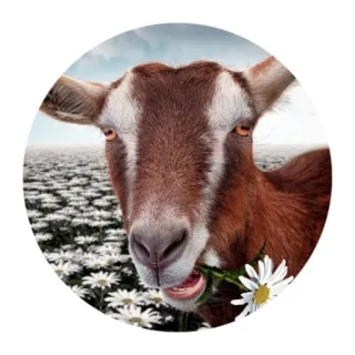 Funny Goat(@alp_stickers) telegram stickers