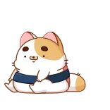 😍 mèo, sushi, kawaii, dễ thương, động vật, đồ ăn, nhãn dán telegram sticker
