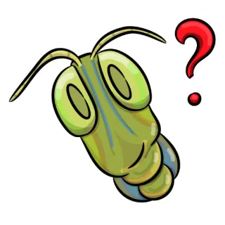 ❓ gafanhoto, inseto, ponto de interrogação, desenho animado, inseto, animal, curioso, confuso telegram sticker