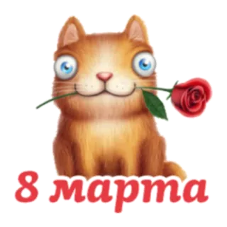 🙂 8 марта 猫, 花, 赤, バラ, 3月8日, 3月8日, 挨拶 telegram sticker