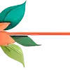 🌺