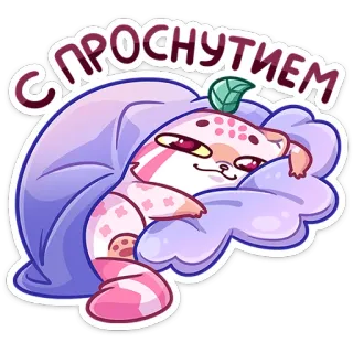 ☀️ С Проснутием kot, sen, słodki, naklejka, dzień dobry whatsapp sticker