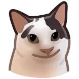 😺