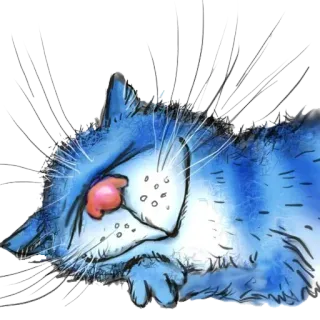 💤 cat, animal, sleeping, blue, cute, cartoon telegram sticker