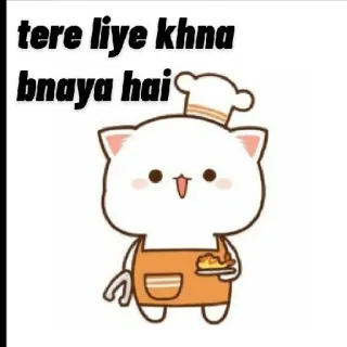 🍲 tere liye khna bnaya hai gato, chef, comida, cocina, lindo, dibujos animados, delantal, tarta whatsapp sticker