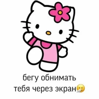 🤗 Hello Kitty бегу обнимать тебя через экран hello kitty, animé telegram sticker