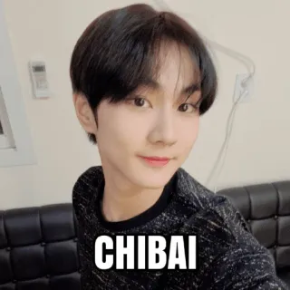 🤬 CHIBAI person, kpop, boy, asian, portrait telegram sticker