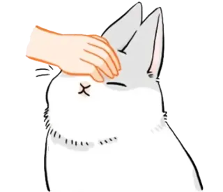 🐰 кот, питомец, милый, животное, погладить по голове, уют telegram sticker