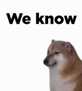 🎭 We know 밈, 도지, 개, 인터넷 밈 telegram sticker