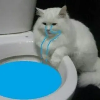 😭 แมว, ห้องน้ำ, สัตว์, มีม telegram sticker
