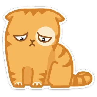 ☹️ chat, triste, chaton, mignon, orange telegram sticker