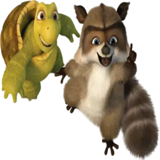 ☝️ turtle, raccoon, animals, cartoon, friendship telegram sticker