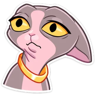 😳 Katze, Sticker, Tier, Meme, lustig, Ausdruck, süß whatsapp sticker