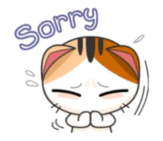 🙇‍♂ Sorry 고양이, 사과, 귀여운, 미안, 애원, 용서, 고양이 telegram sticker
