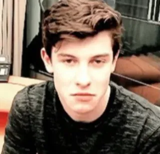 🙁 Shawn Mendes shawn mendes, singer, celebrity, music, portrait telegram sticker