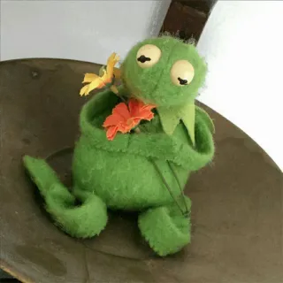 😕 Kermit Kermit la rana, rana, pupazzo, verde, fiori, carino, peluche whatsapp sticker