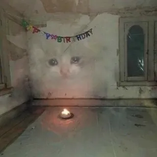 🐱 happy birthday 猫, 誕生日, 面白い, ミーム, ろうそく, ユーモア telegram sticker
