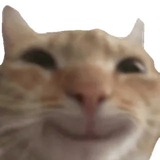 🙂