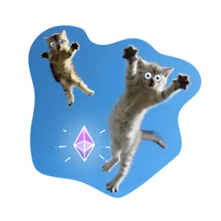 🤤 кот, котенок, Ethereum, криптовалюта, животное, питомец, мем telegram sticker