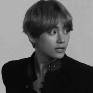 🕷 V kpop, bts, idol, sänger, koreanisch, v telegram sticker