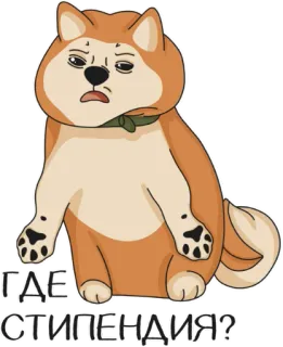 😩 ГДЕ СТИПЕНДИЯ? 도지, 밈, 러시아, 스티커, 개 telegram sticker